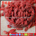 Good Quality New Dried Fruit Ningxia Dried Goji Berry 280 grains